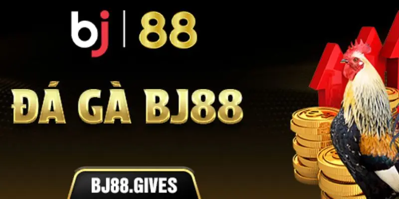 Đá gà BJ88 - Thiên đường cá cược tại trường gà Thomo