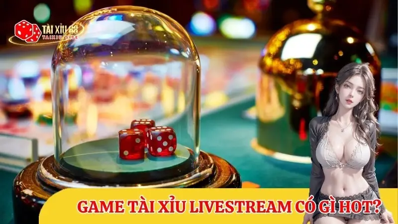 Tài Xỉu livestream có gì hot? Hướng dẫn chi tiết cách chơi