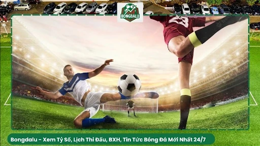 Hướng Dẫn Xem Tỷ Số Bongdalu Nhanh, Chính Xác Và Dễ Hiểu Cho Người Mới